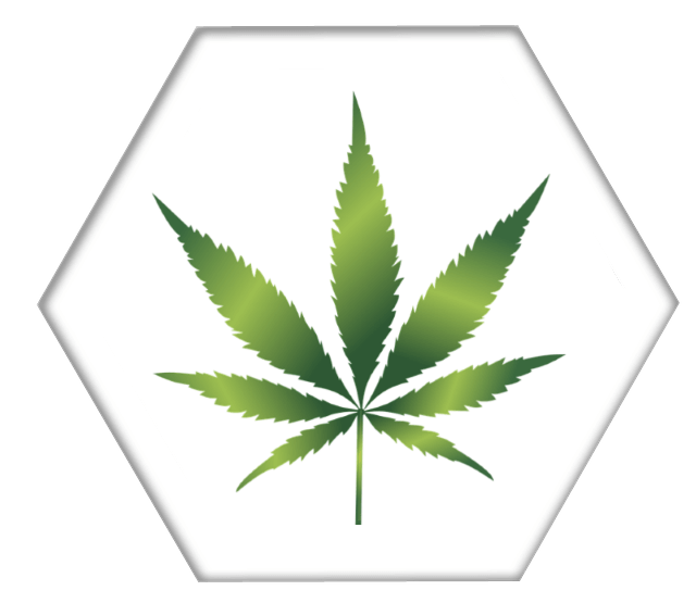 Image Title My Image