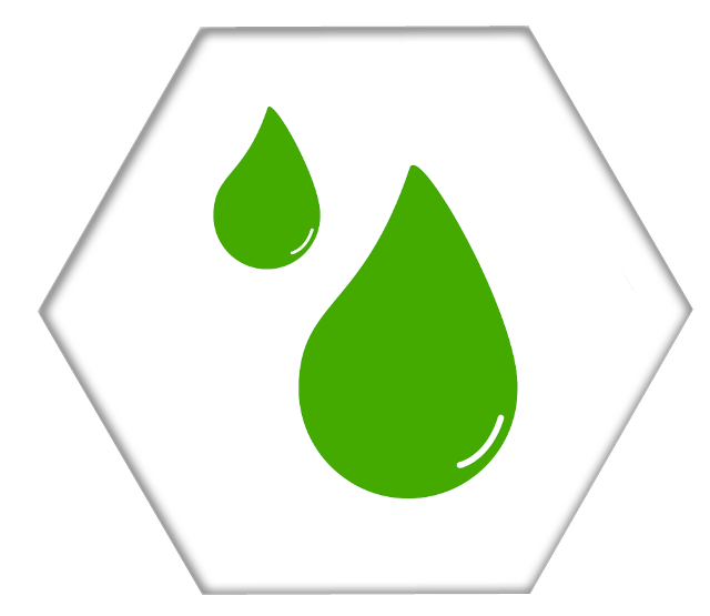 Image Title My Image